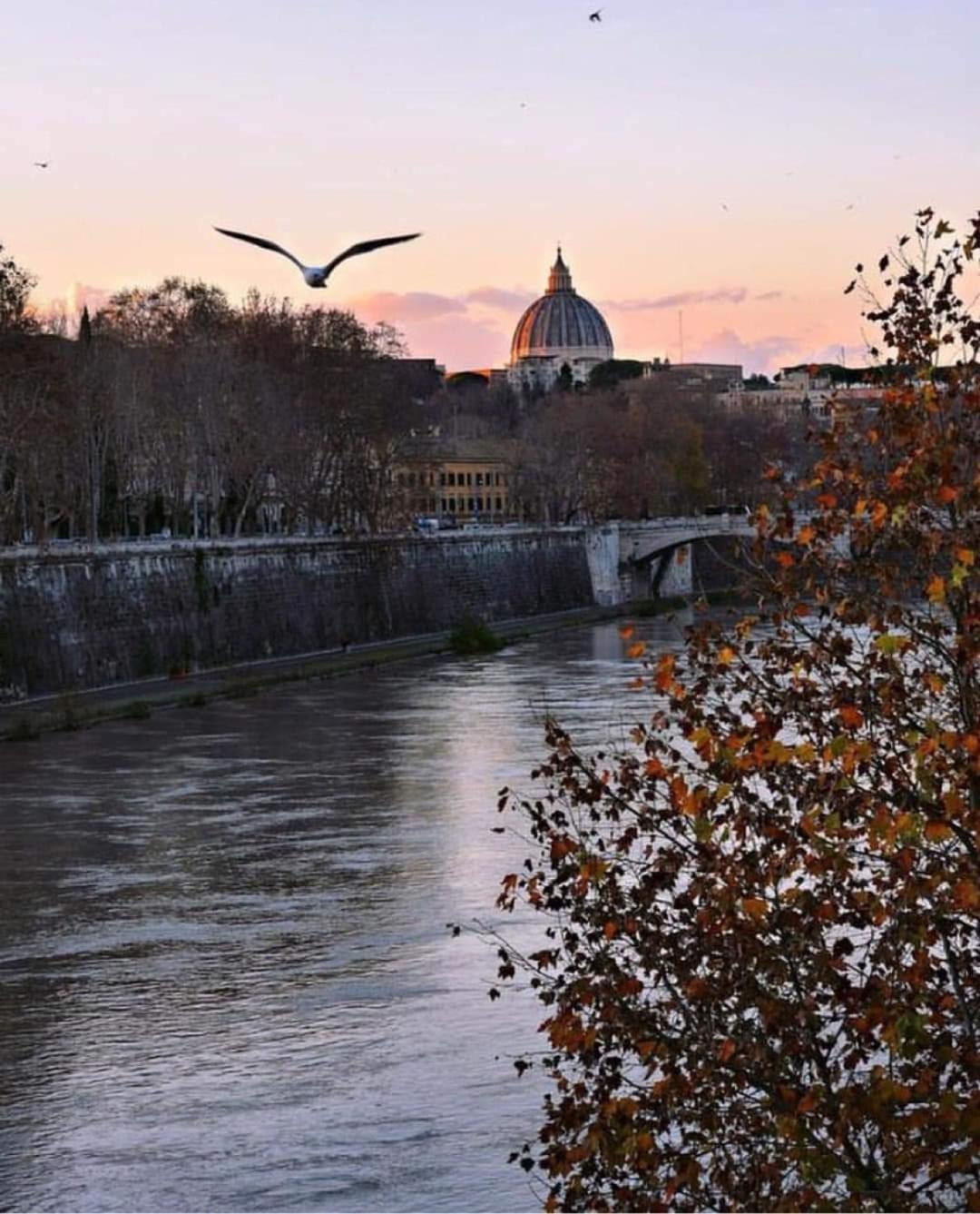 La Casa Di Ludovica All'Appio Latino Roma Exterior foto